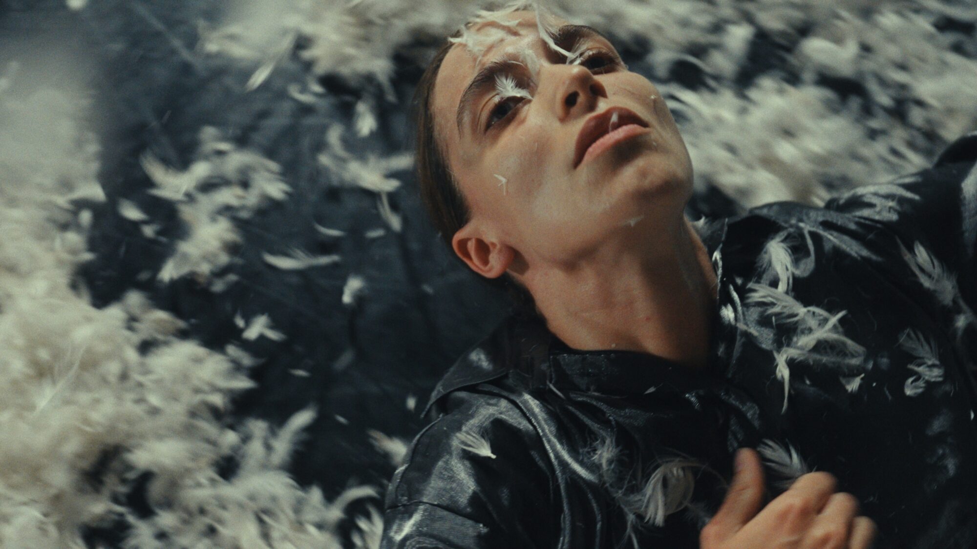 A Bird Named Mansour (2024) by Jordy Dik [Netherlands]