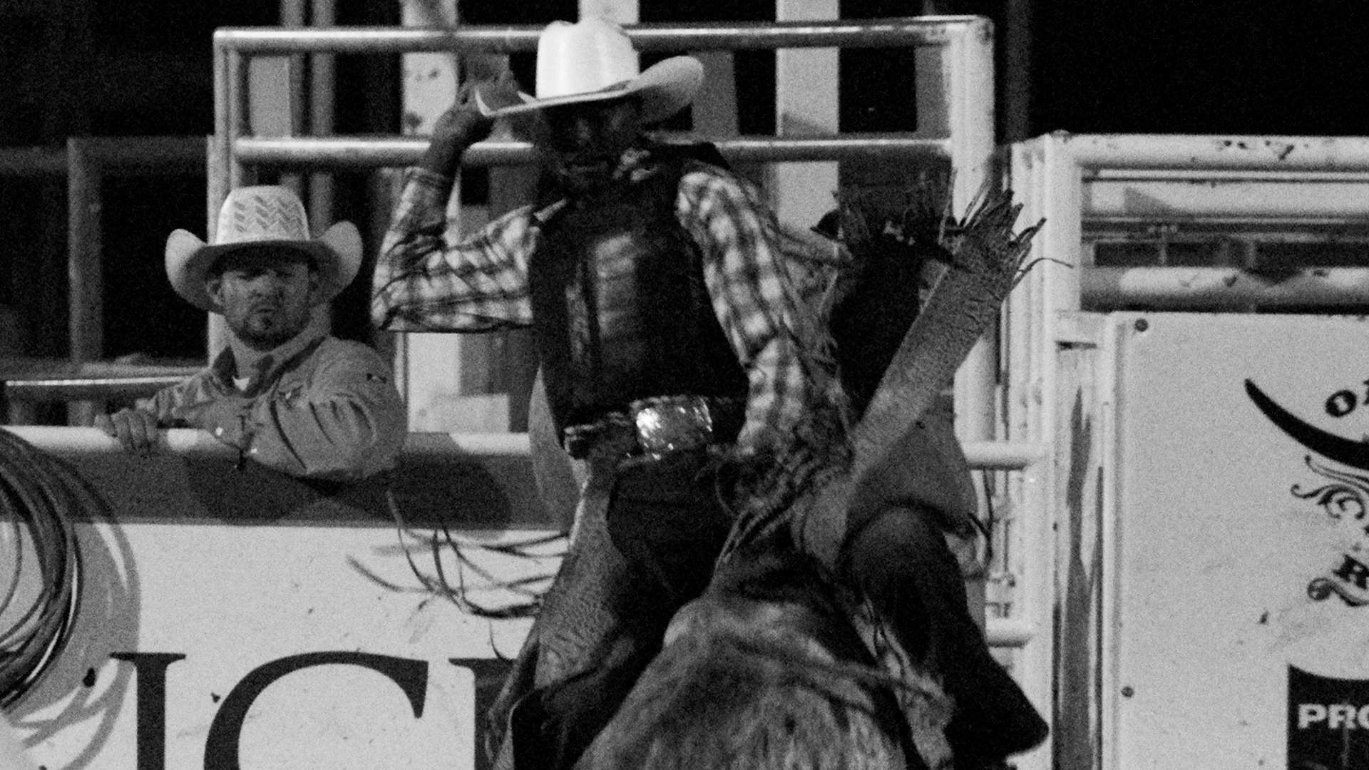Bull Rider (2023), by Steven Gray [USA]
