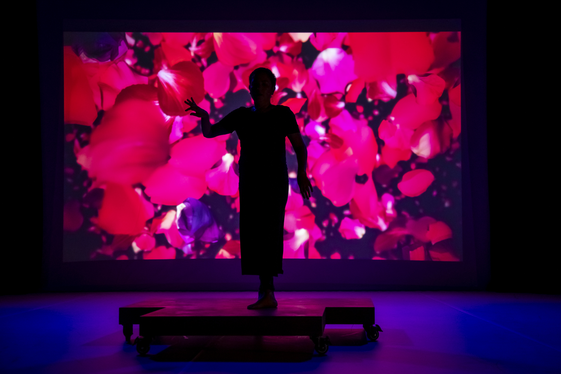 Copy of the Copy (2025), by Priya. Photo by Tiffany Garvie.