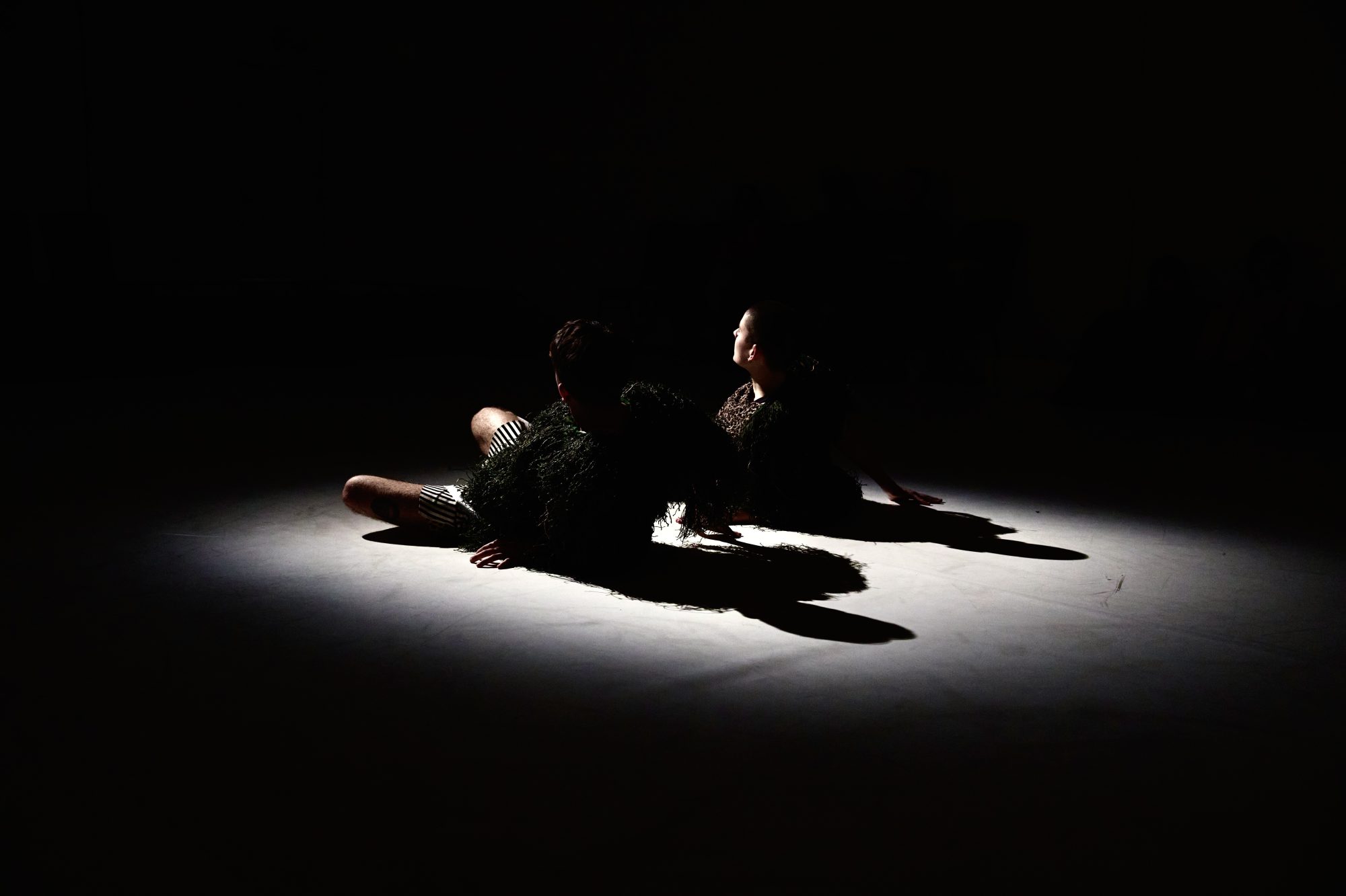 Camopansies (2025), by Charlie Lee. Photo by Felix Oliver.