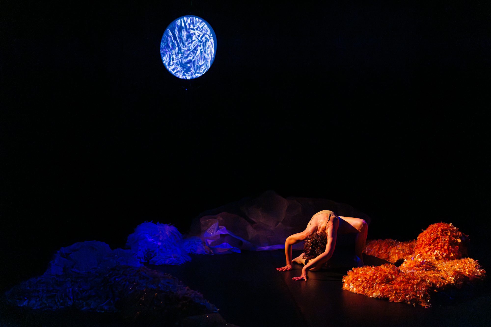 Creature (2025) by Katrina Rank. Photo by Robert Wagner.