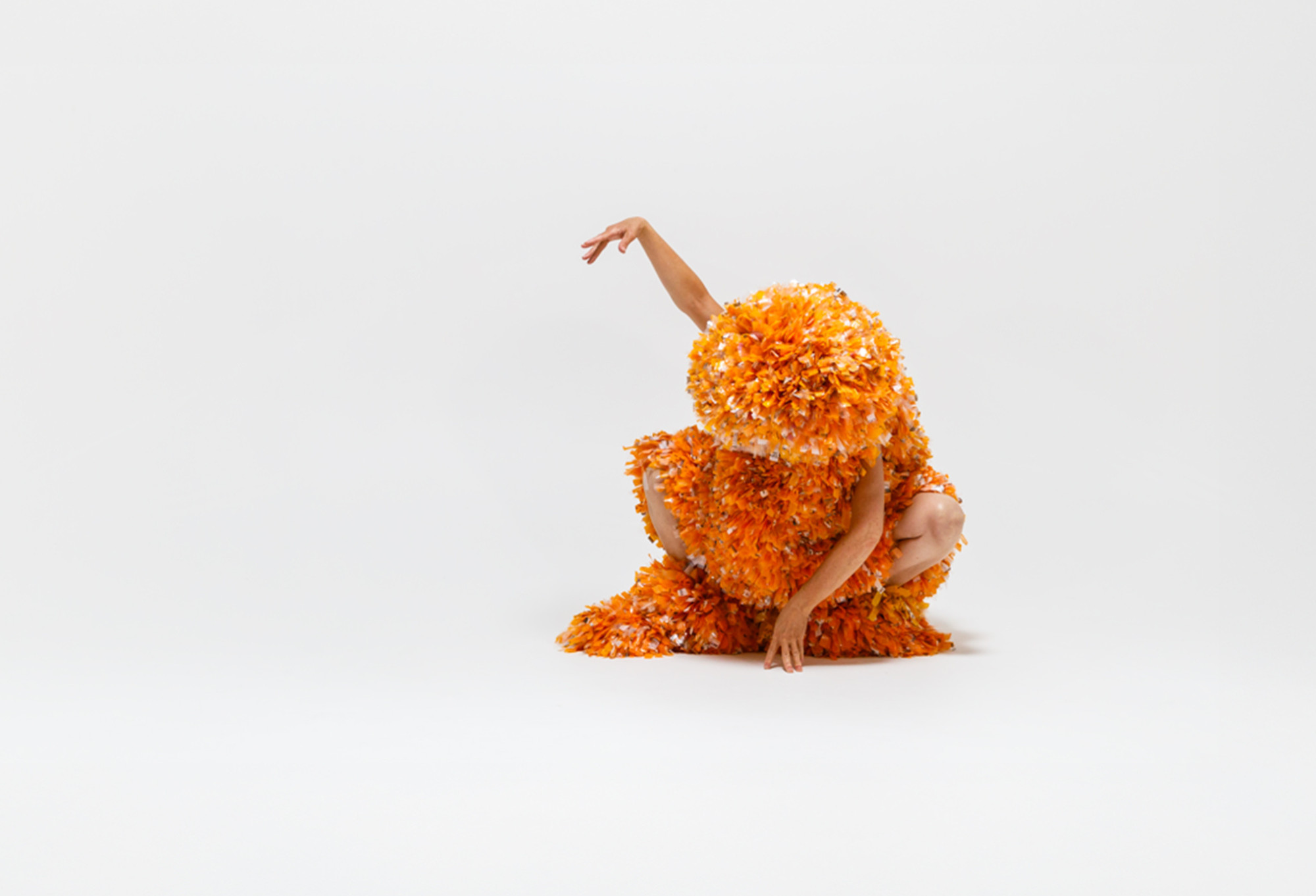 'Creature' (FUSE Autumn 2022), by Katrina Rank. Photo by Robert Wagner.