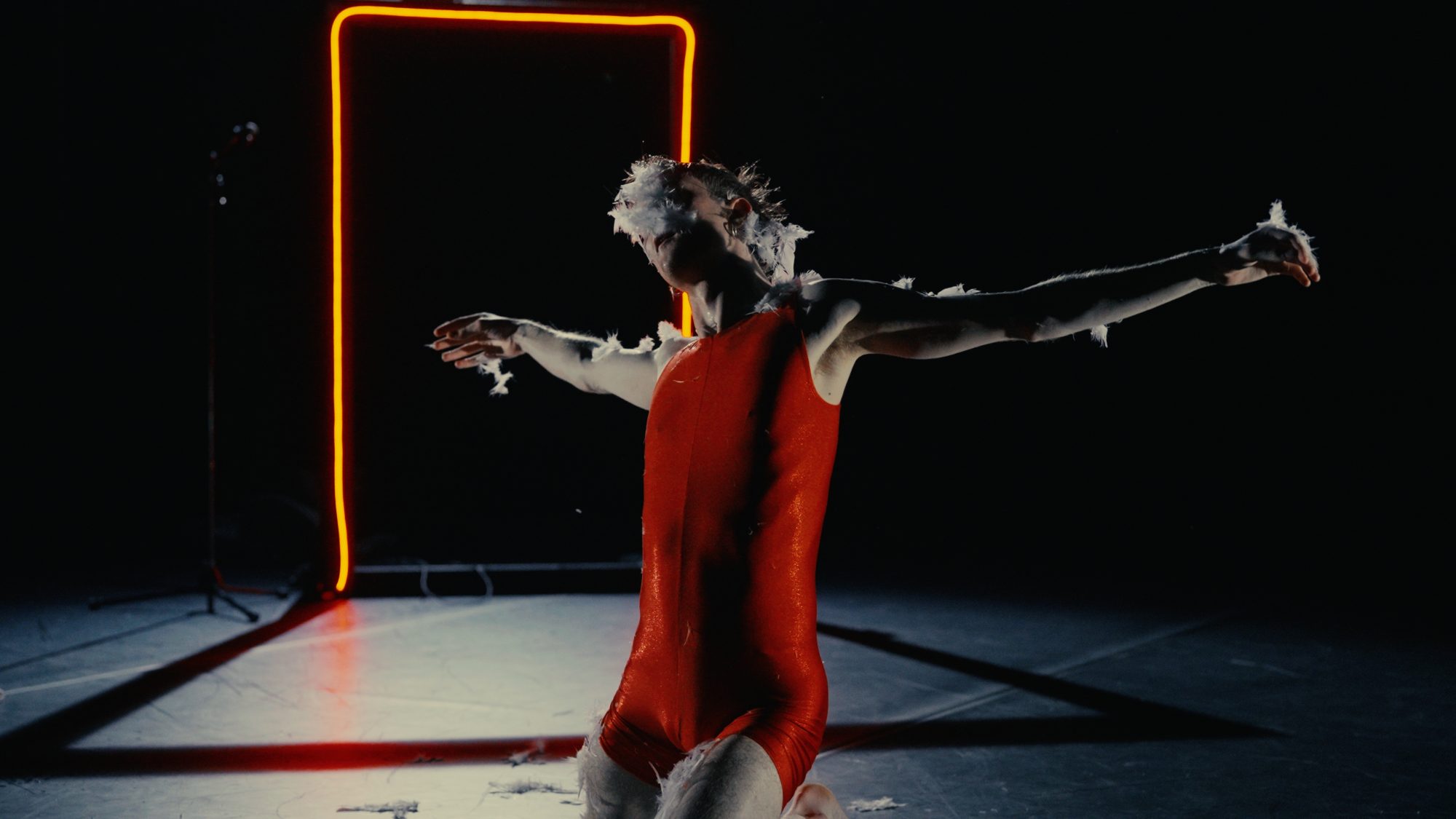 Sissy (2025), by Max Burgess. Photo by Seán O’Gorman.