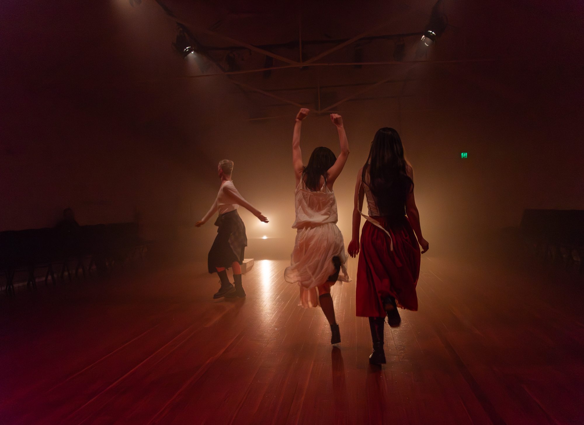 Brigid (2025) by Alice Heyward and Oisín Ó Manacháin. Photo by Predrag Čančar.