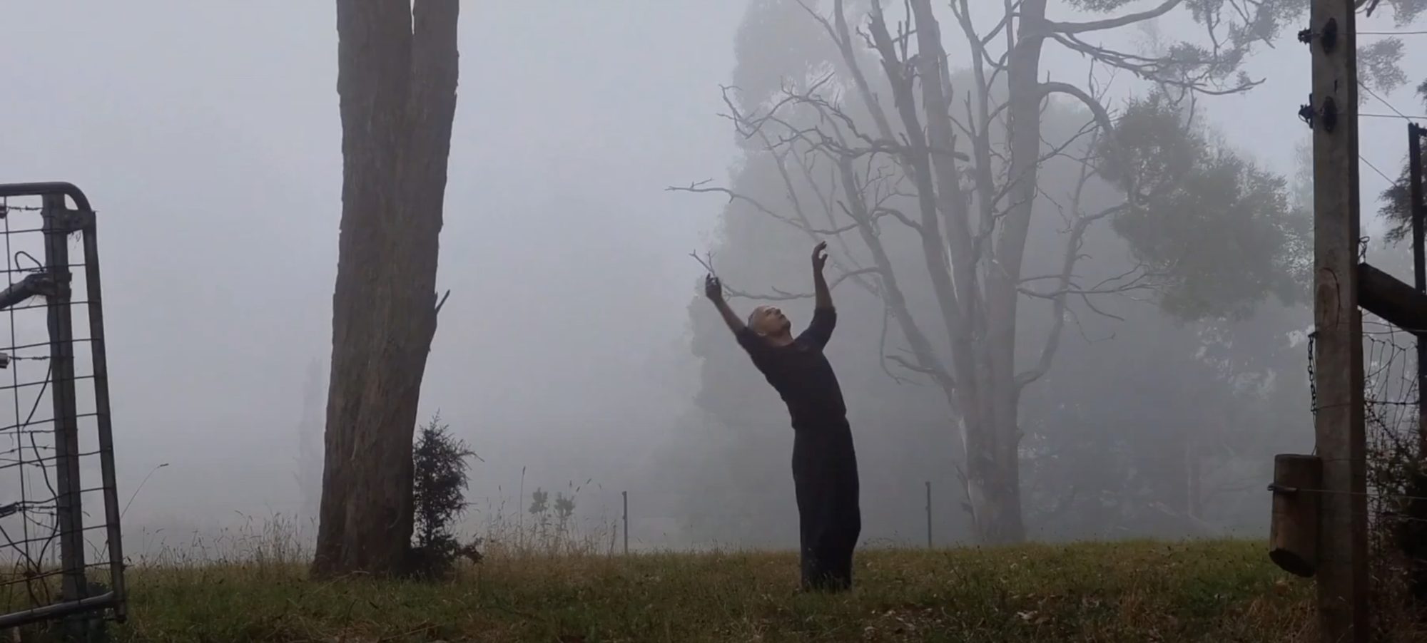 'Daily Dance Project' (2019-2026), Jonathan Sinatra. Photo by Jonathan Sinatra.