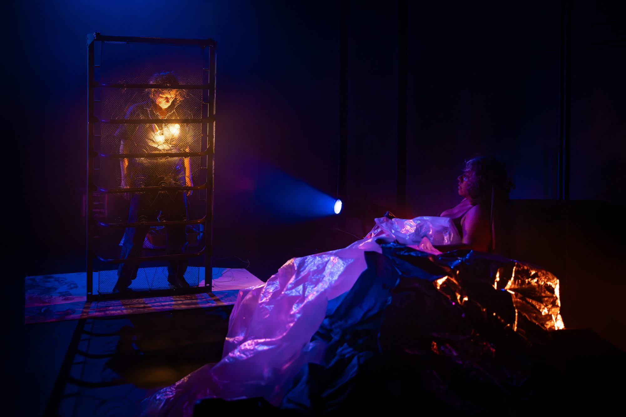 ‘Exposure’ (2026) by Branch Nebula. Photo by Darren Gill.