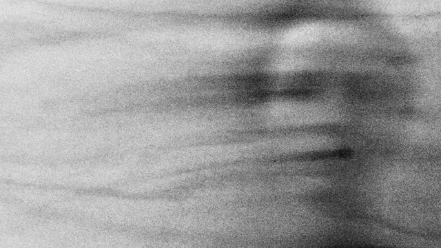 FADE (2026) by Michelle Heaven, Madeleine Flynn and Tim Humphrey.