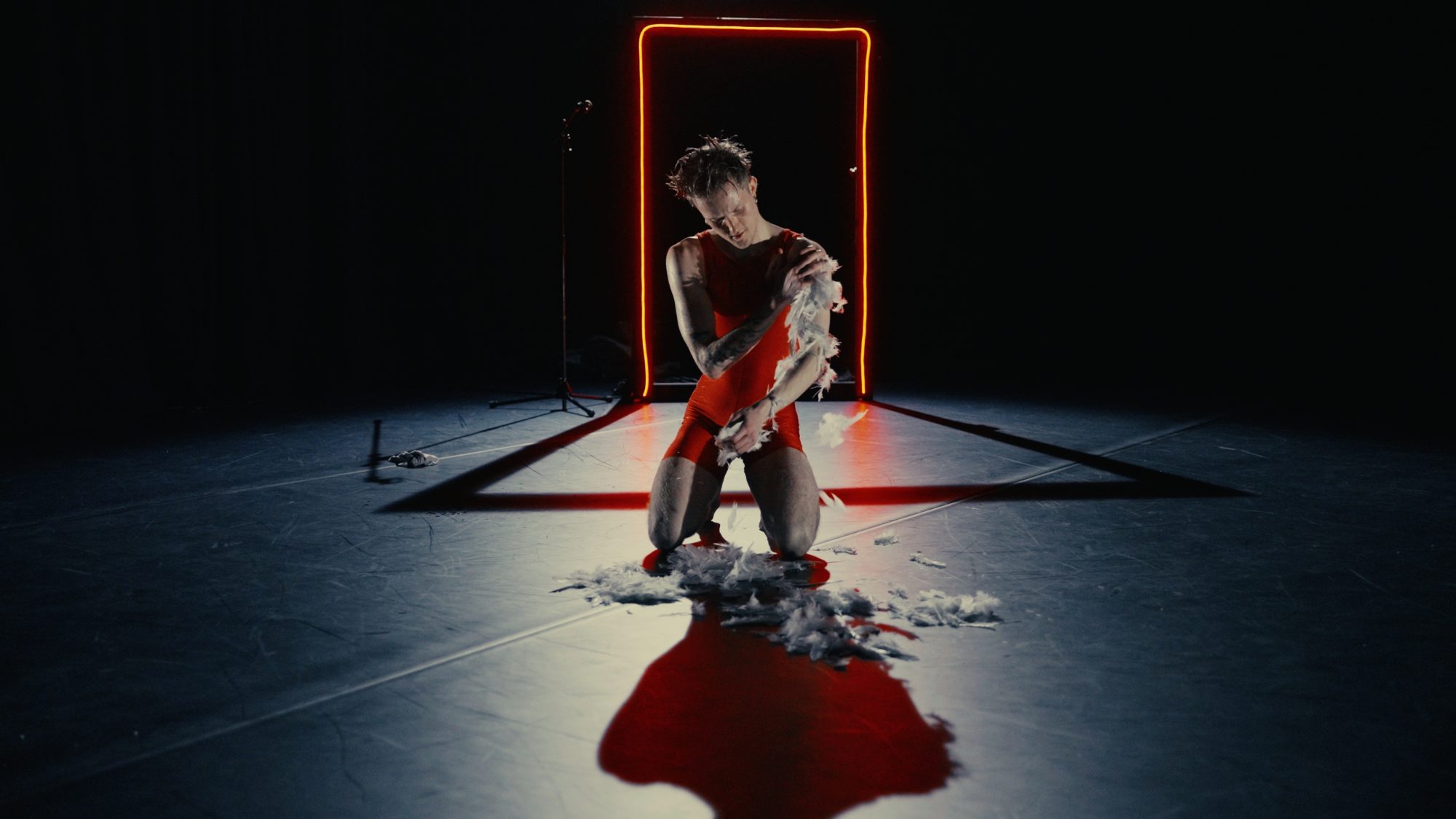 Sissy (2025), by Max Burgess. Photo by Seán O’Gorman.