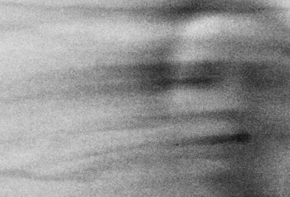 FADE (2026) by Michelle Heaven, Madeleine Flynn and Tim Humphrey.