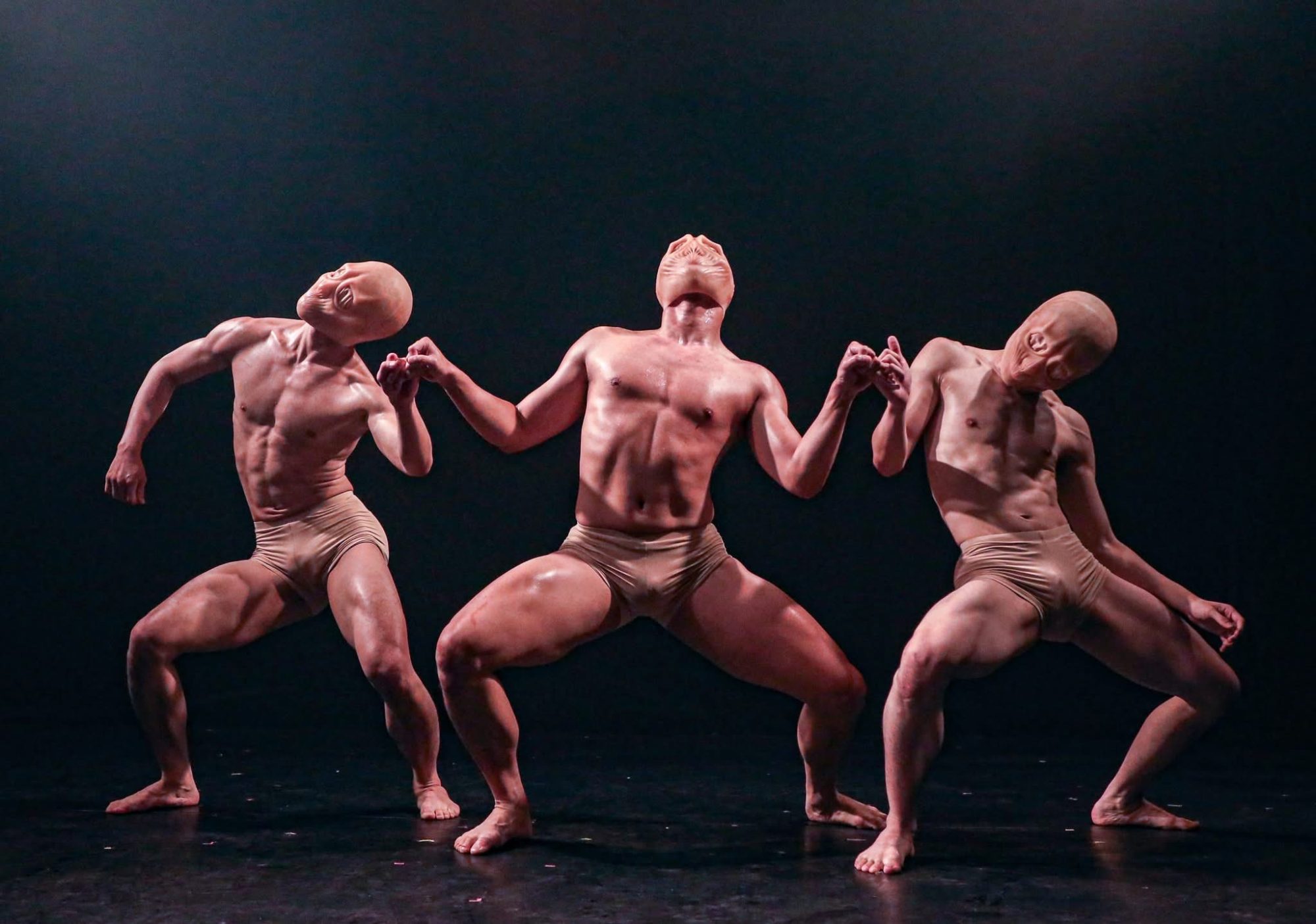 Palingenesis by D_antidote. Photo by Po-Wei CHEN & W.D.
