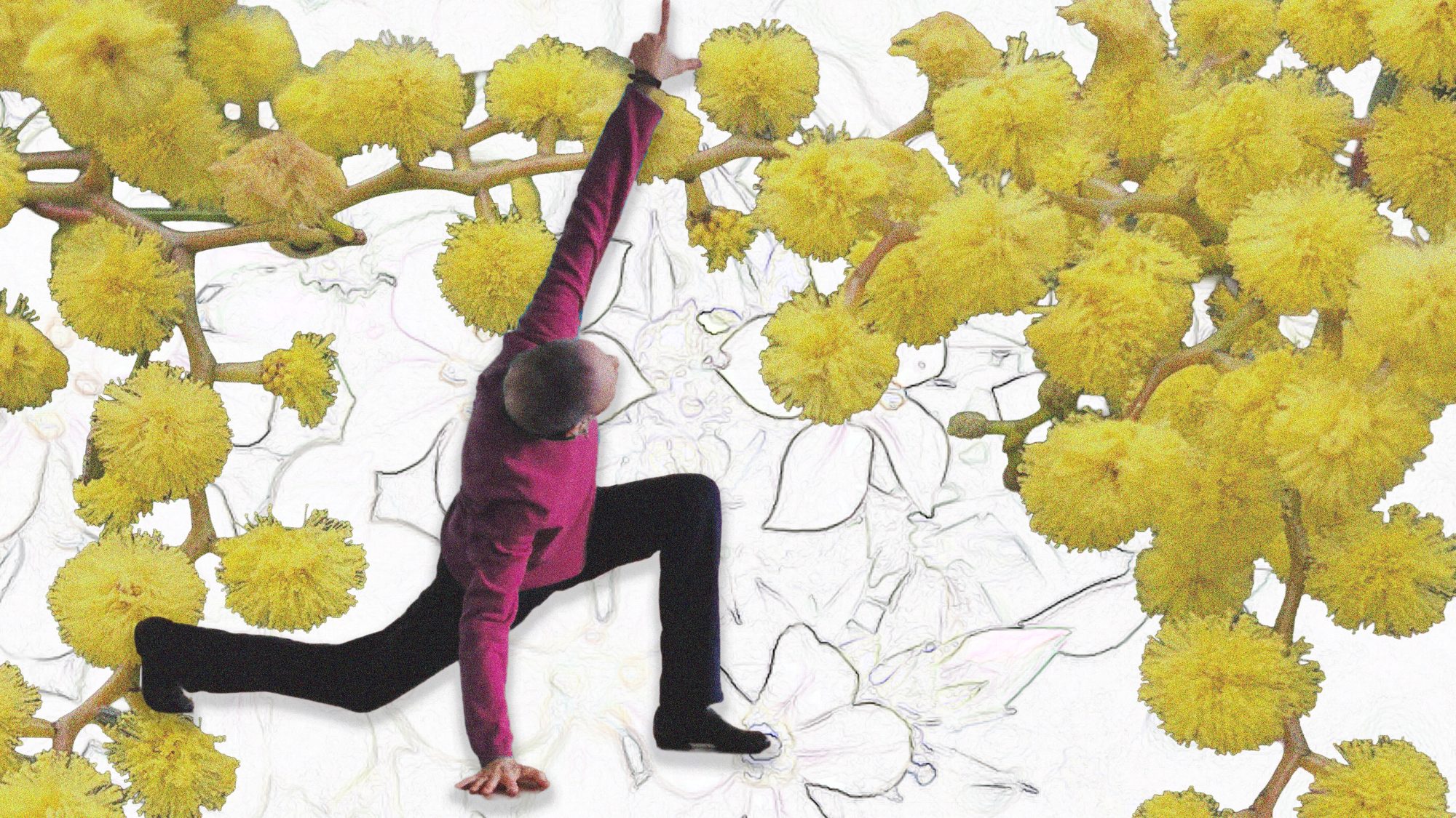 A Spring Moment (2026). Photo by Bronwen Kamasz