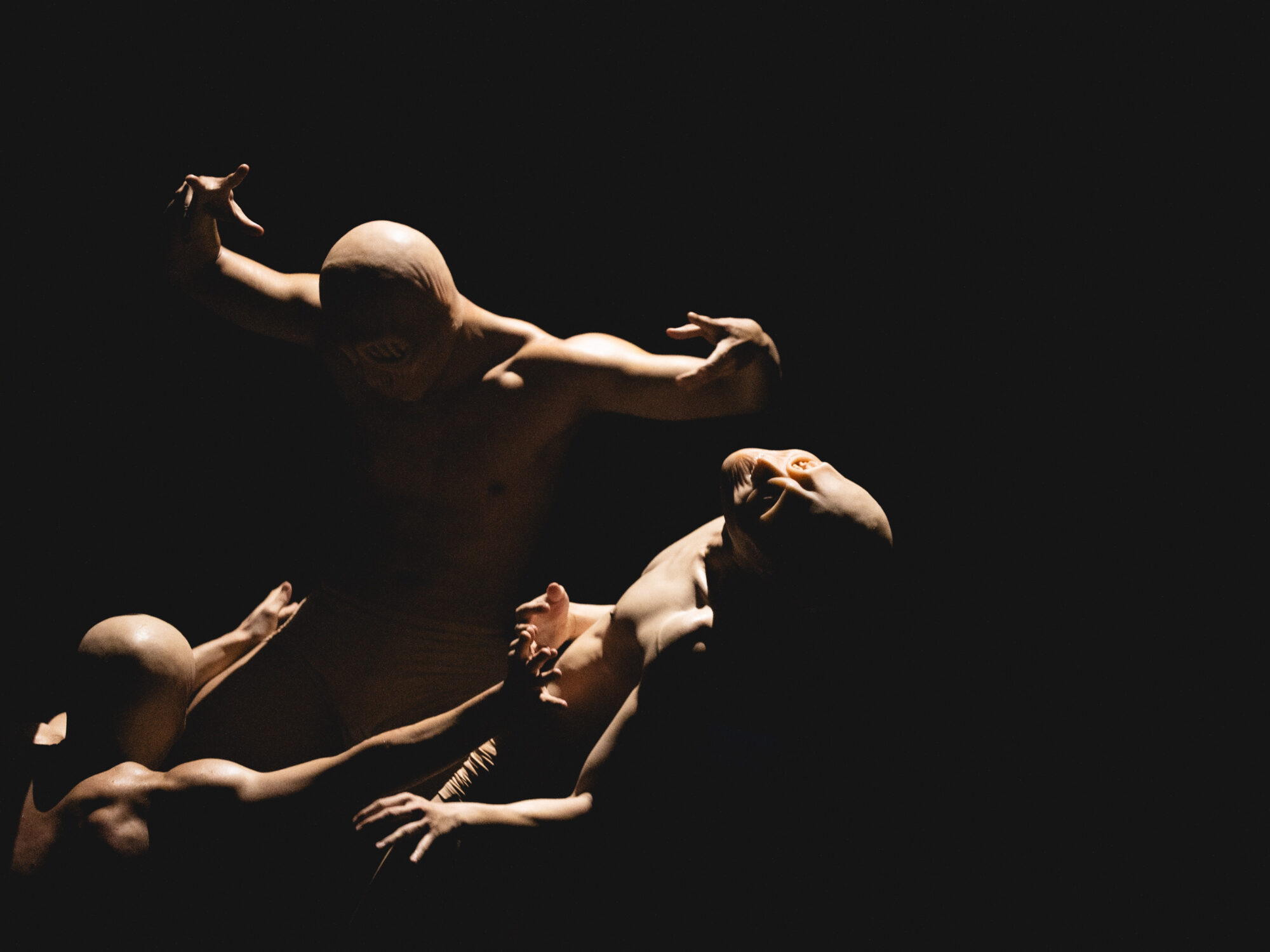 ‘Palingenesis' by D_antidote Production. Photo by Po-Wei CHEN & W.D.