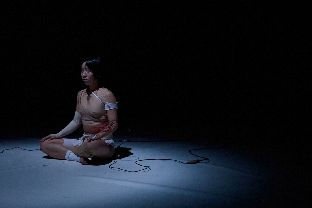 ‘INTERLINK_SYSTEM’ (2026) by Joyce Liu. Photo by Carlin Stephenson.