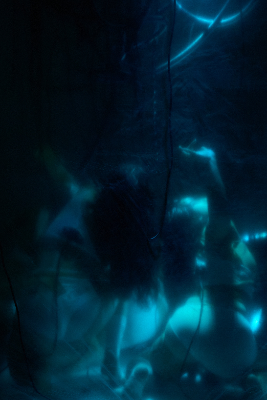 ‘INTERLINK_SYSTEM’ (2026) by Joyce Liu. Photo by Carlin Stephenson.