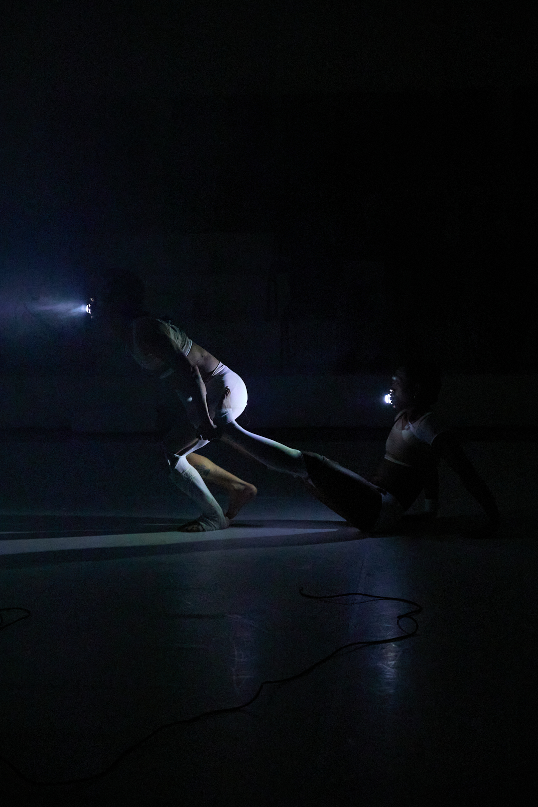 ‘INTERLINK_SYSTEM’ (2026) by Joyce Liu. Photo by Carlin Stephenson.